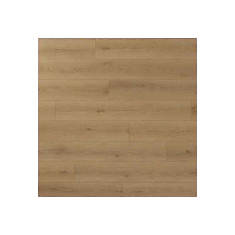 Panel winylowy dąb